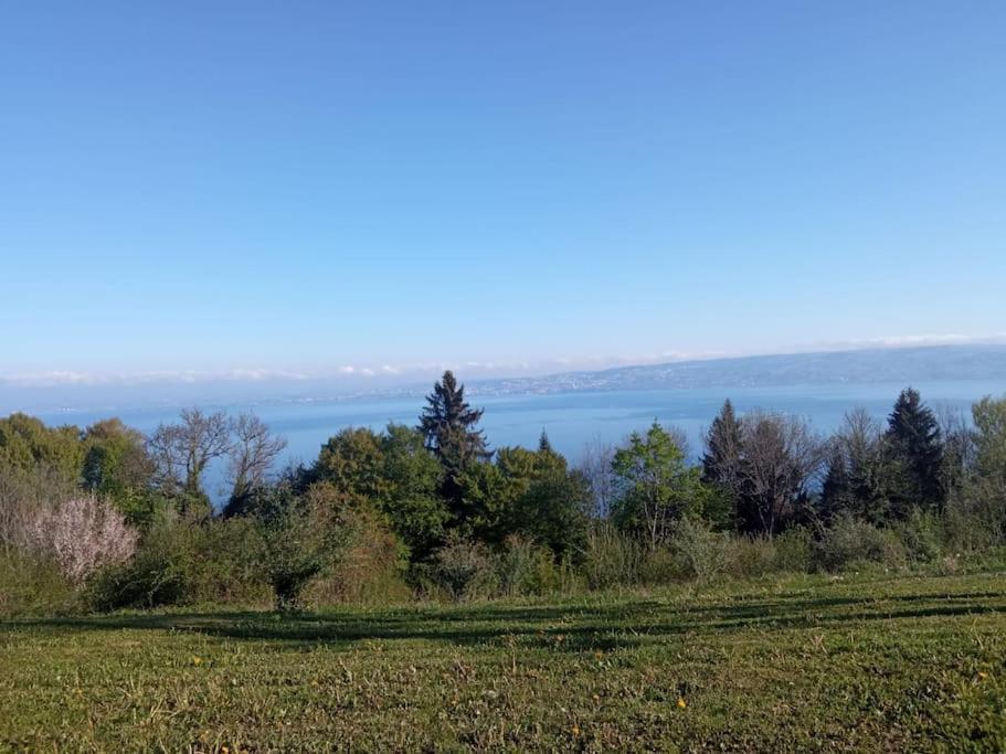Lugrin Proche Du Lac Et Montagne Екстер'єр фото